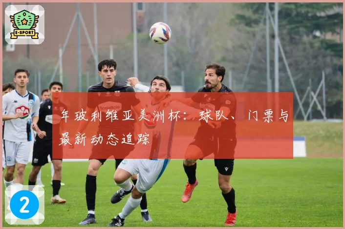 年玻利维亚美洲杯：球队、门票与最新动态追踪
