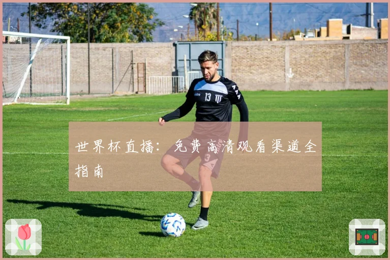 世界杯直播:免费高清观看渠道全指南
