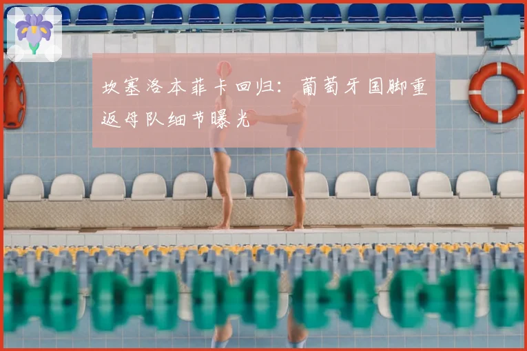 坎塞洛本菲卡回归:葡萄牙国脚重返母队细节曝光