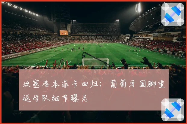 坎塞洛本菲卡回归：葡萄牙国脚重返母队细节曝光